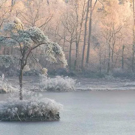Natuurhuisje Chalet *