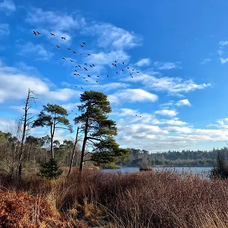 Natuurhuisje * 奥斯特韦克
